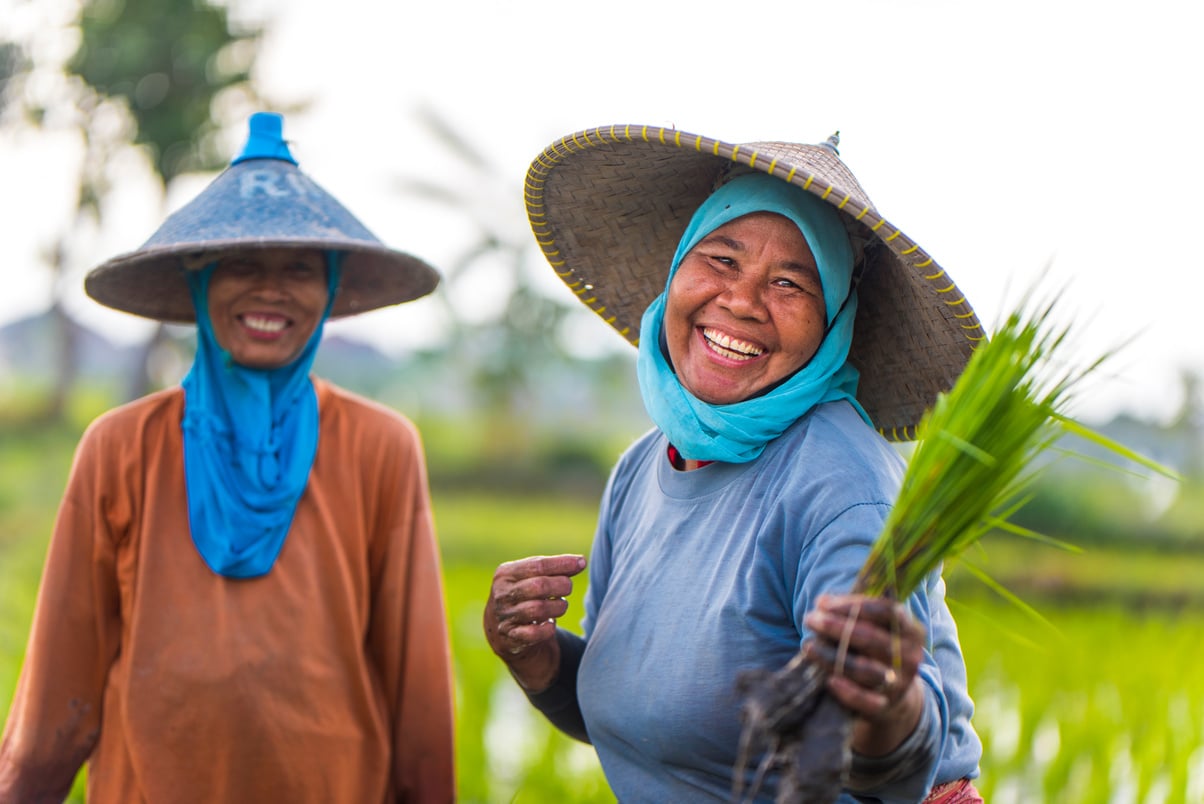 Cheerful Indonesian women on the rice field